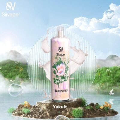 Alternative view of SILVAPER DL 12000 PUFFS